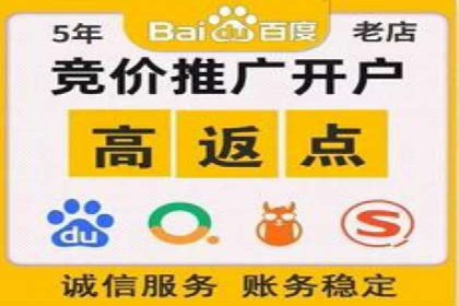 SEM竞价优化技巧：案例解析提升广告投放效果